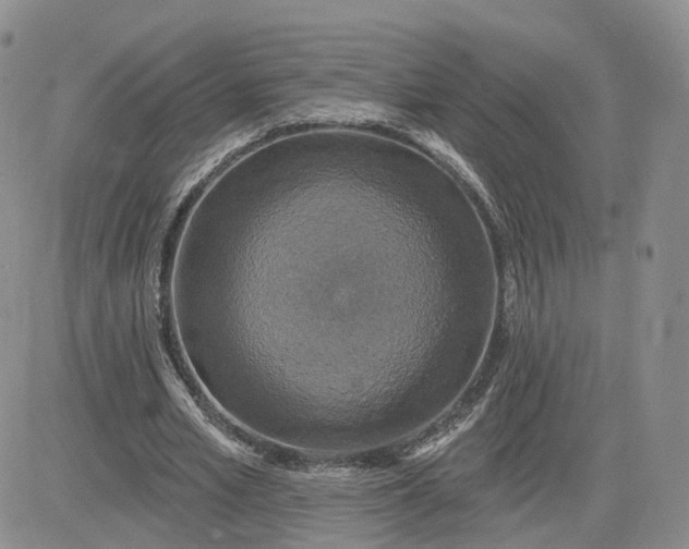 X0000083650581200702261118