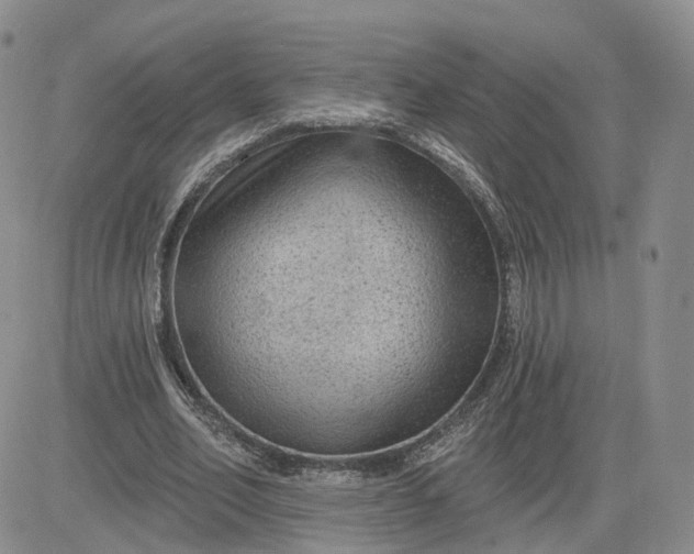 X0000083650582200702261118