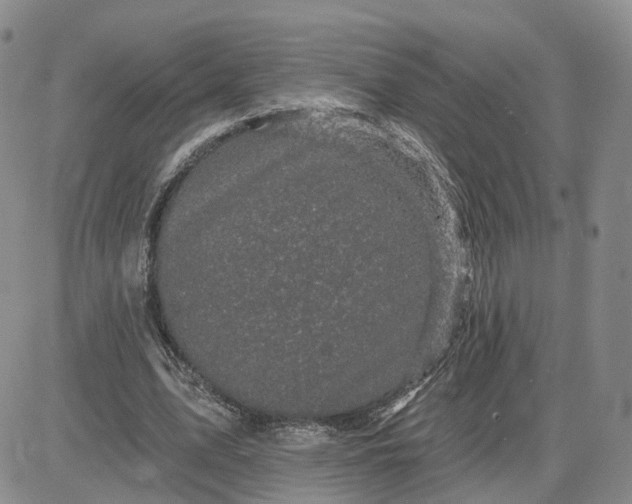 X0000083650583200702261118