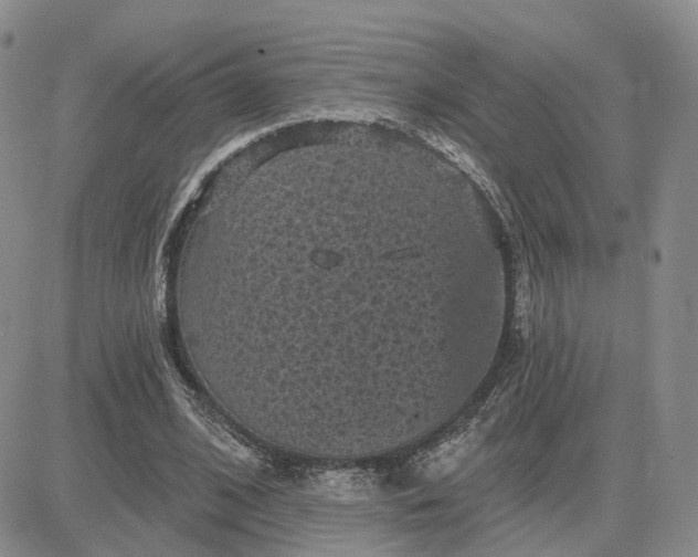 X0000083650584200702261118