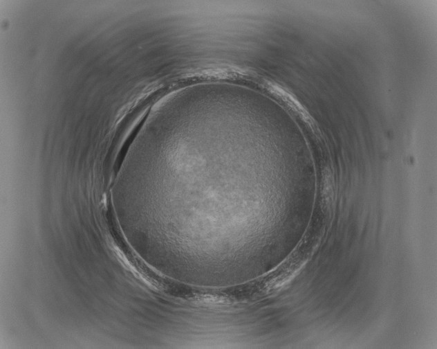 X0000083650585200702261118