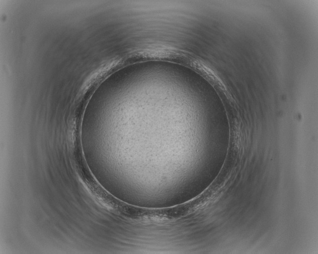 X0000083650586200702261118