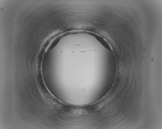 X0000083650587200702261118