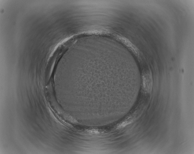 X0000083650588200702261118