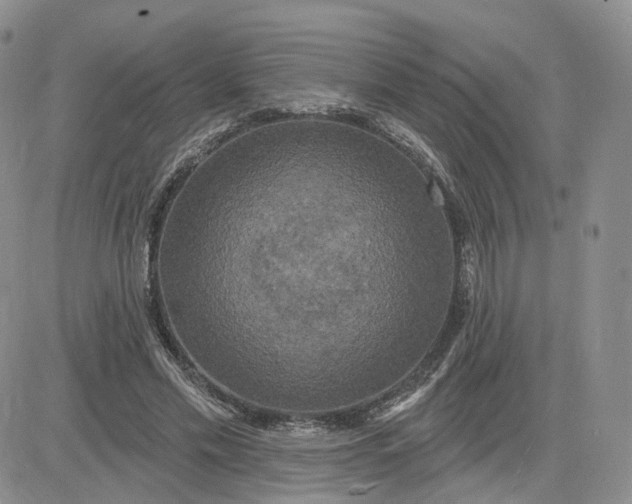 X0000083650589200702261118