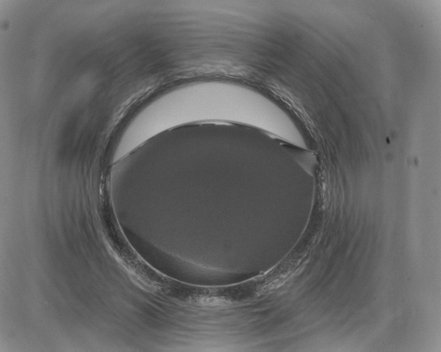 X0000083650590200702261118