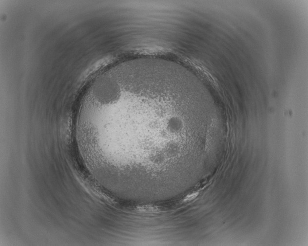 X0000083650591200702261118