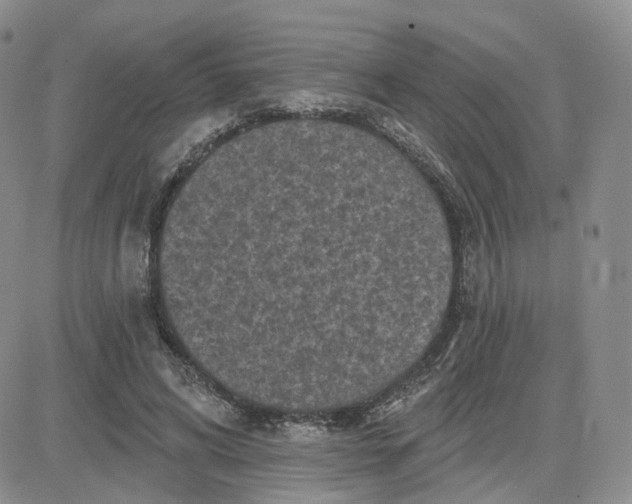 X0000083650592200702261118