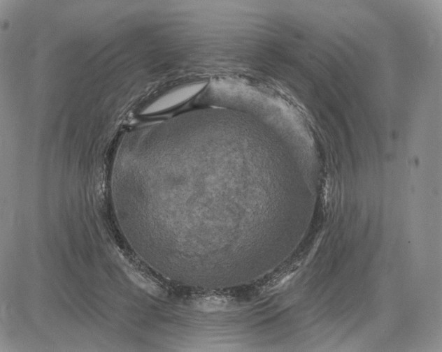 X0000083650593200702261118