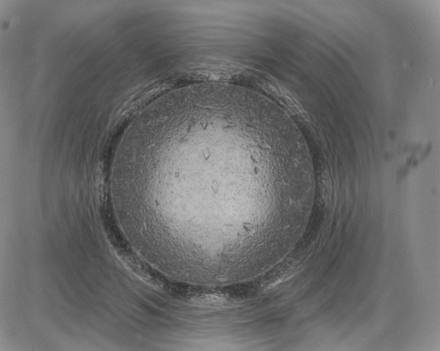 X0000083650594200702261118