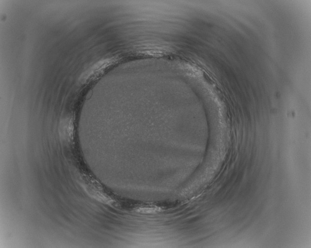 X0000083650595200702261118