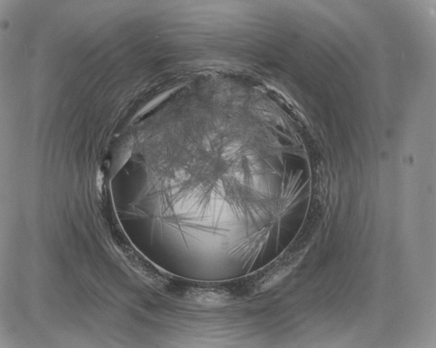 X0000083650597200702261118