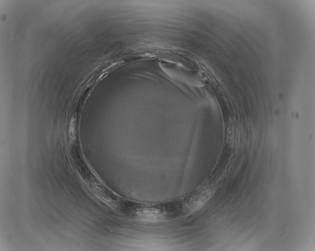 X0000083650598200702261118