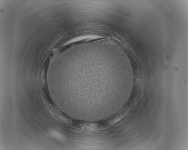 X0000083650599200702261118