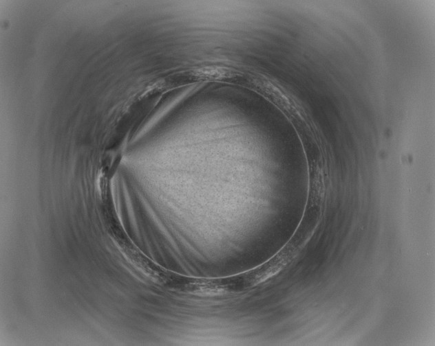 X0000083650601200702261118