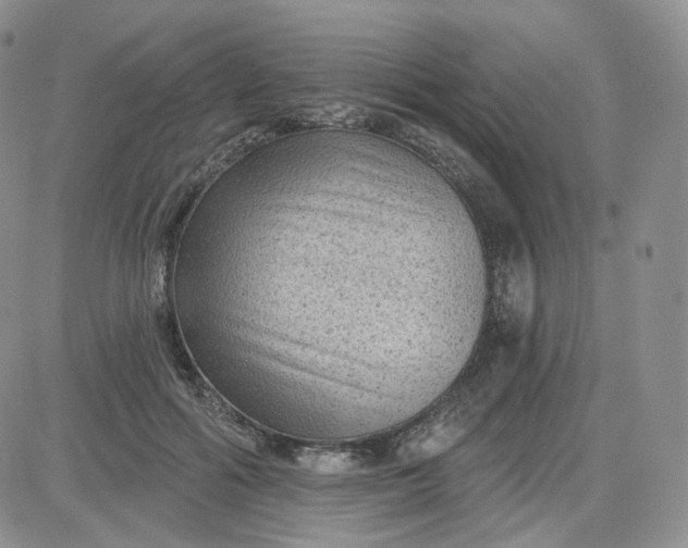 X0000083650602200702261118