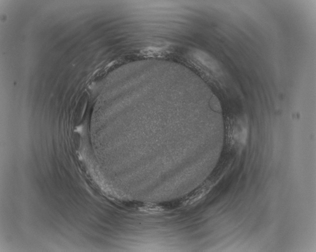 X0000083650603200702261118