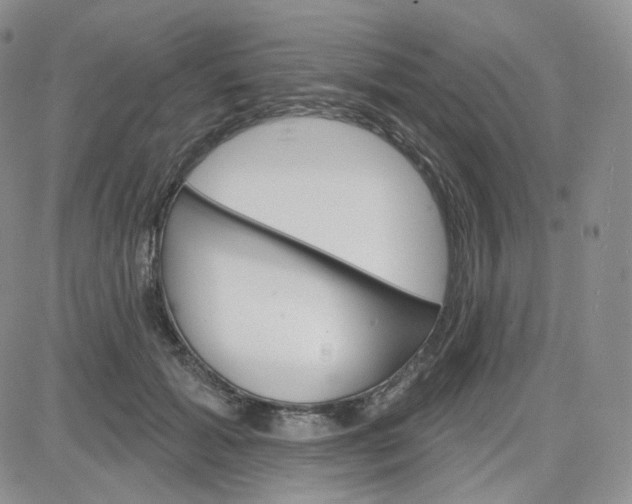 X0000083650605200702261118