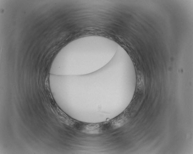 X0000083650606200702261118