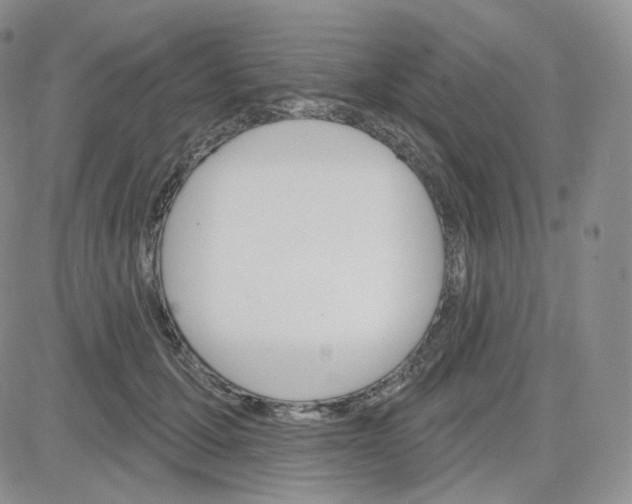 X0000083650607200702261118