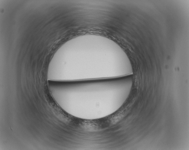 X0000083650608200702261118