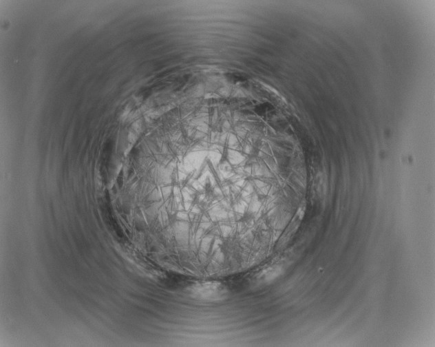 X0000083650609200702261118