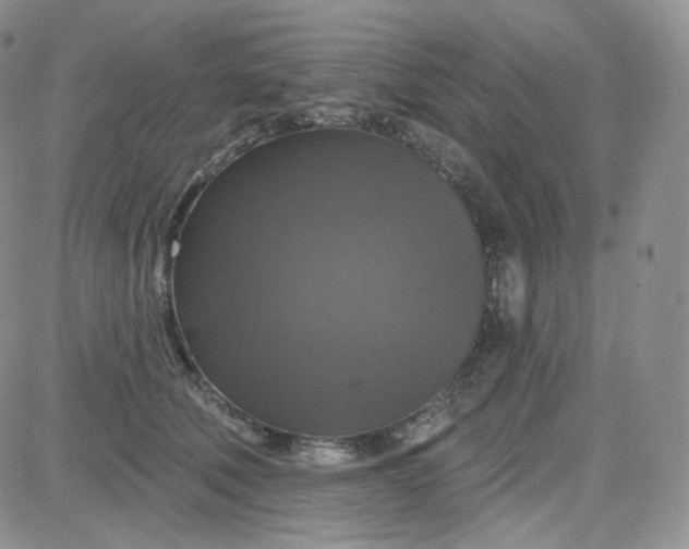 X0000083650610200702261118