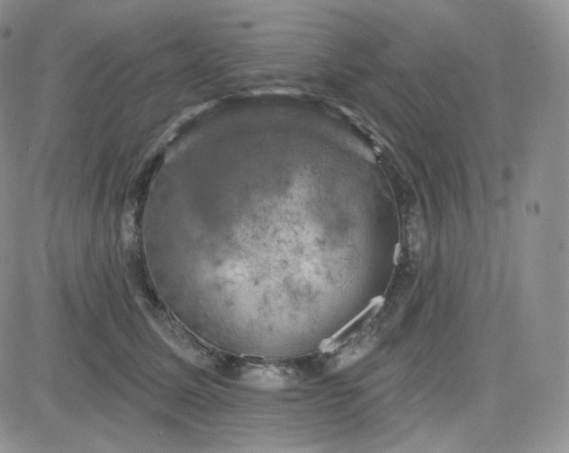 X0000083650611200702261118