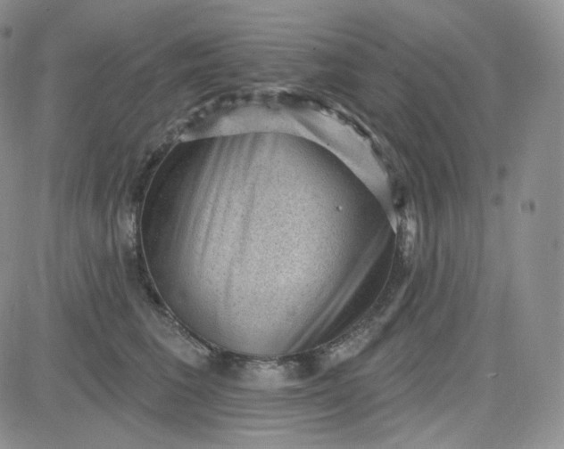 X0000083650613200702261118