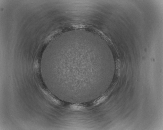 X0000083650614200702261118