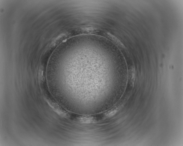 X0000083650615200702261118