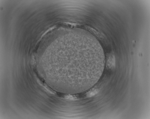 X0000083650616200702261118