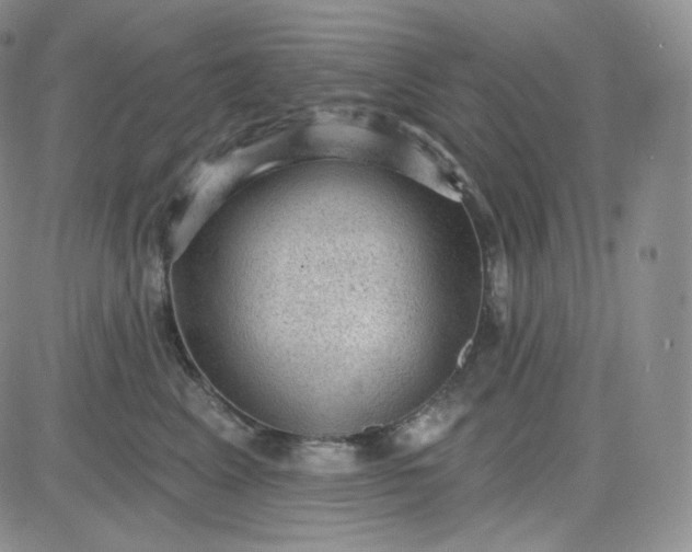 X0000083650617200702261118