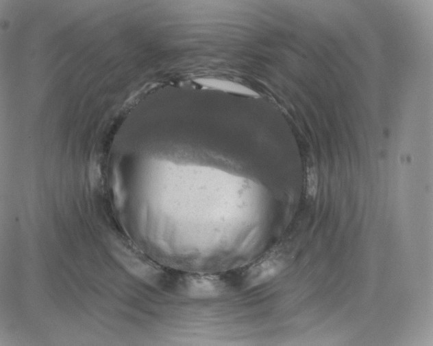 X0000083650618200702261118