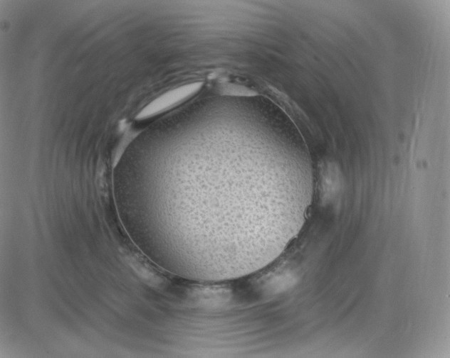 X0000083650619200702261118