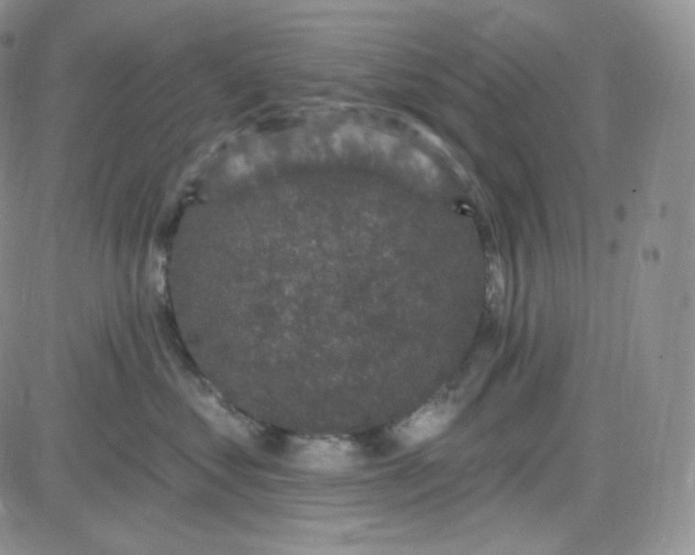 X0000083650621200702261118