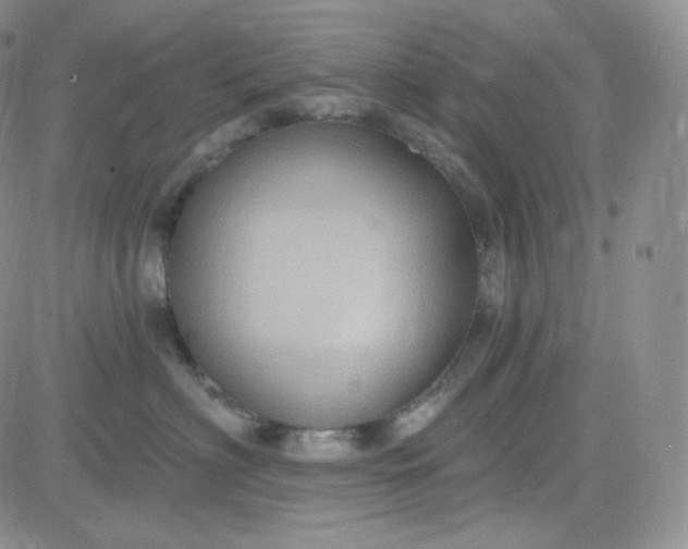 X0000083650622200702261118