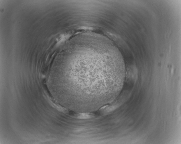 X0000083650623200702261117