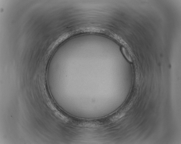 X0000083650625200702261117