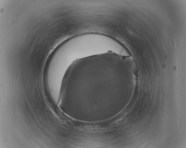 X0000083650626200702261117