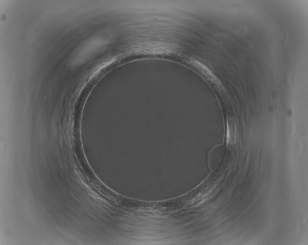 X0000083650627200702261117