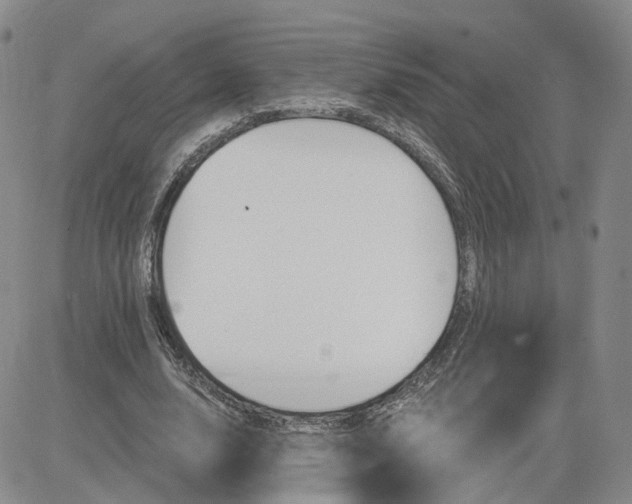 X0000083650632200702261117