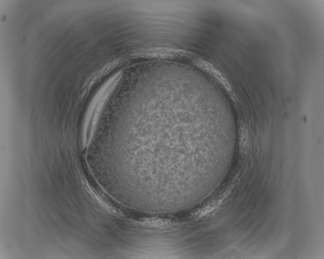 X0000083650633200702261117