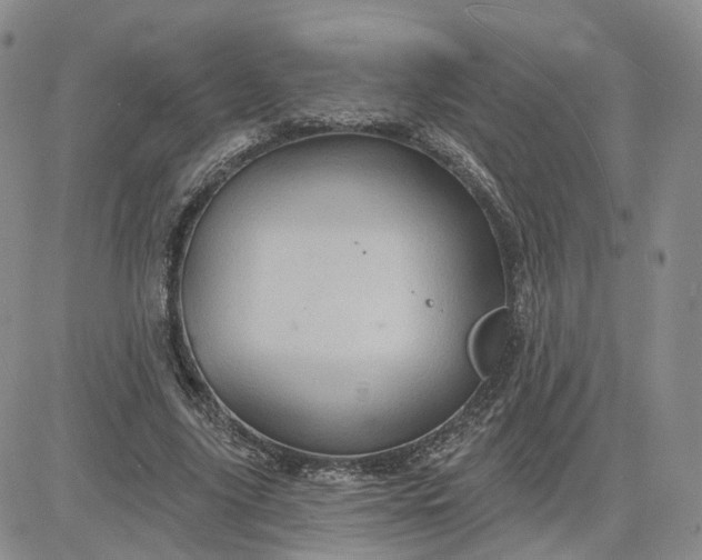 X0000083650635200702261117