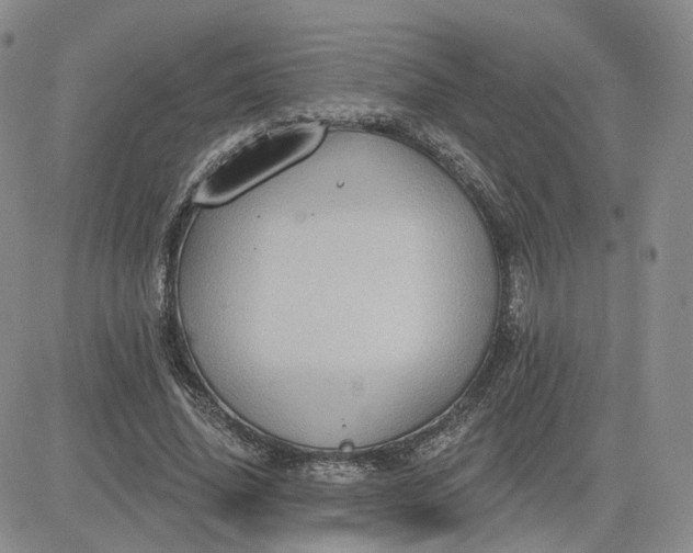 X0000083650636200702261117