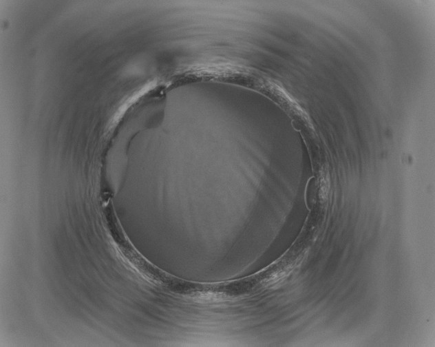 X0000083650637200702261117