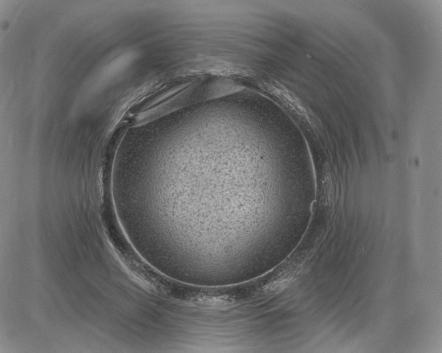 X0000083650638200702261117