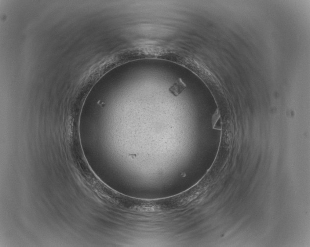 X0000083650639200702261117