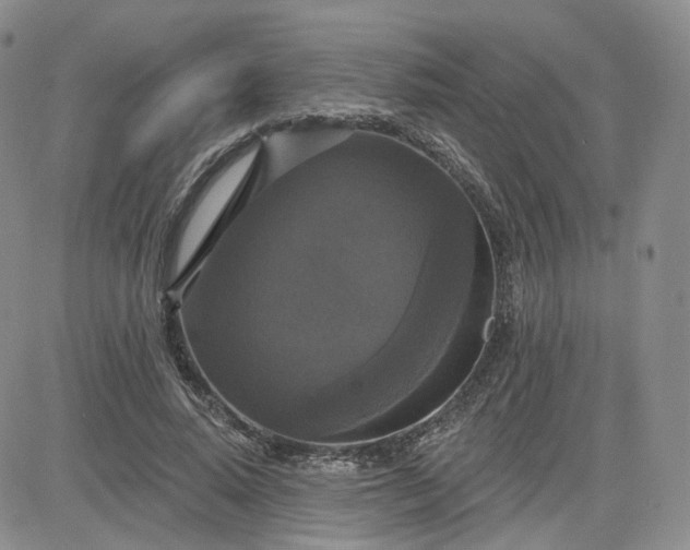 X0000083650640200702261117