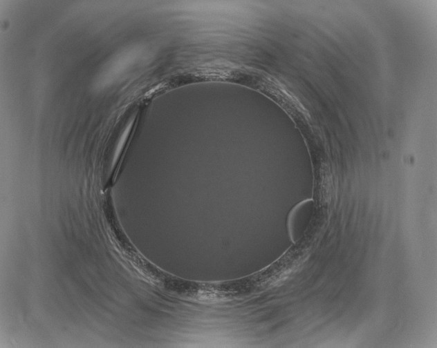 X0000083650641200702261117